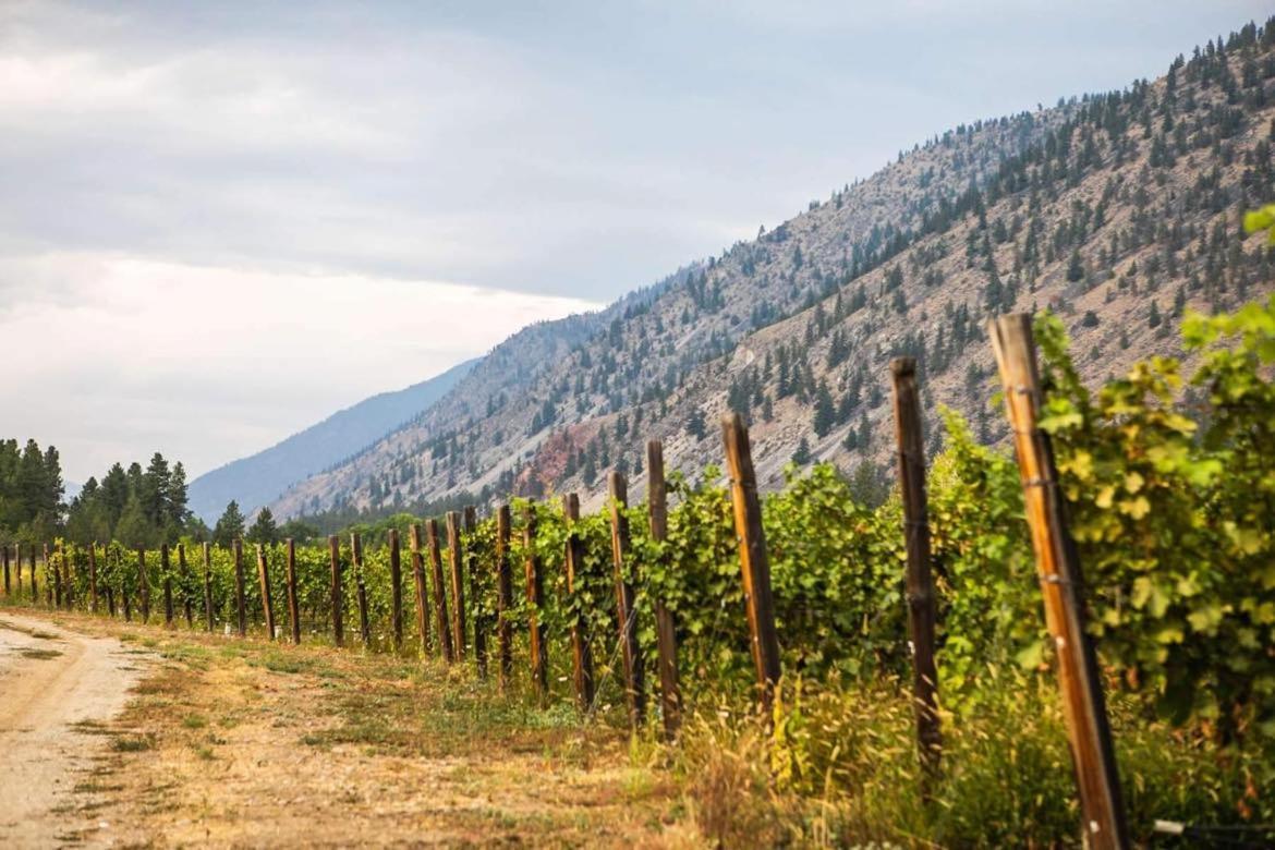 Similkameen Wild Resort & Winery Retreat Osoyoos Bagian luar foto